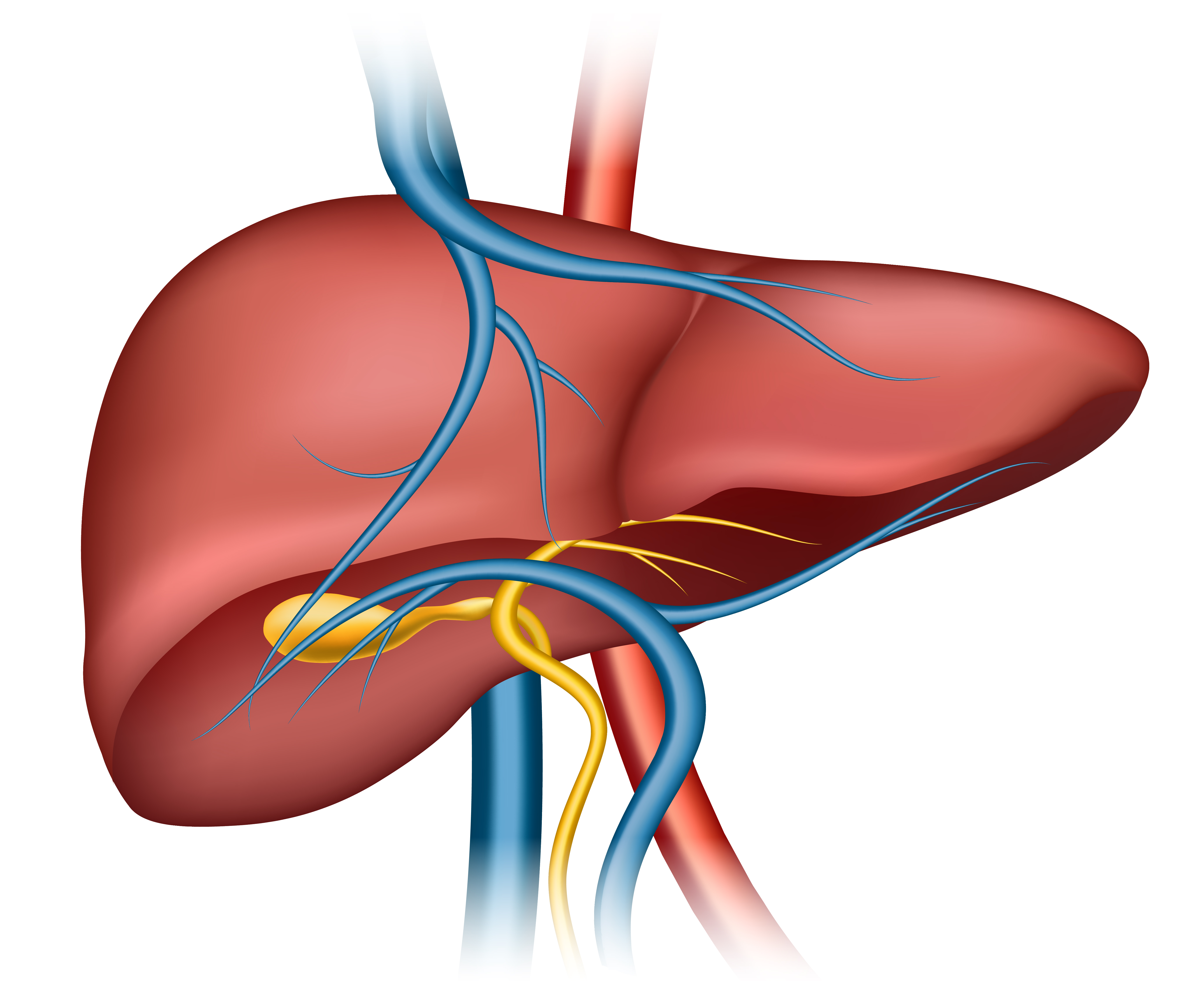 Laparoscopic Gallbladder Surgery at Max Hospital